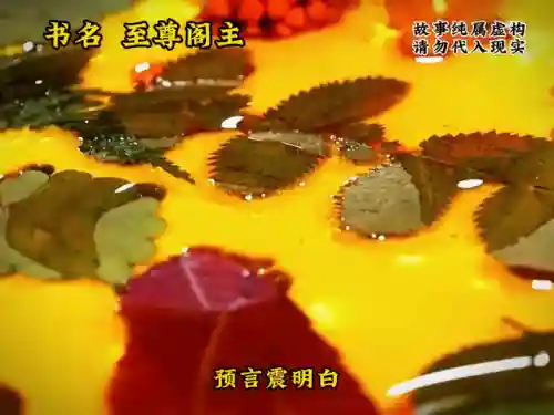 至尊斗罗阵容搭配(新斗罗大陆平民最强阵容搭配)插图6