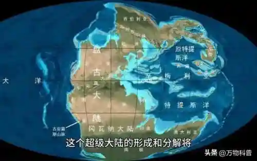 2023年人类灭绝(人类清除计划已经开始了)插图2