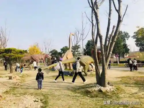 洛克王国紫藤快速获得(洛克王国紫藤150怎么弄)插图26