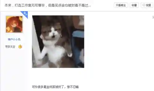 冒险岛2还有人玩吗(冒险岛2凉到什么程度了)插图5