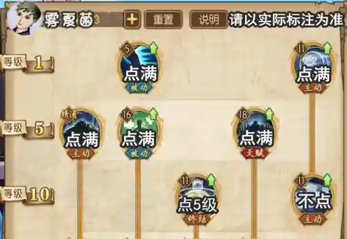 燃烧意志熊阵容搭配(燃烧意志平民推荐阵容)插图2