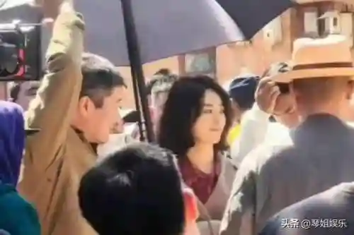 琴姐推荐搭配阵容(琴平民玩家阵容)插图5