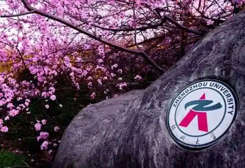 梦幻修业点经验计算器(召唤兽升级修业点计算器)插图4