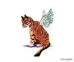 猜图游戏题目(比划我猜题目)插图4