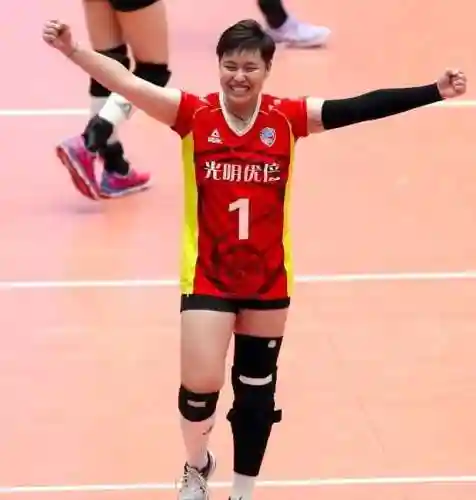排球小子搭配什么阵容(排球少年国家队阵容)