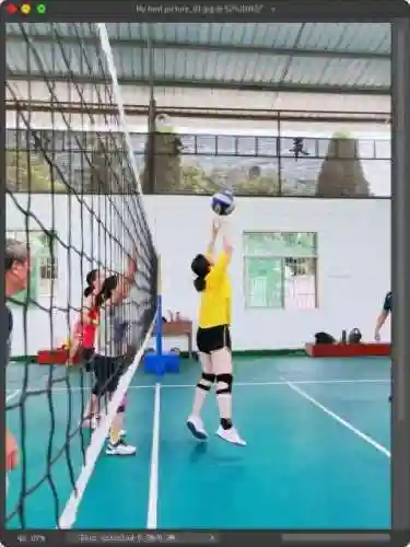 排球基本阵容搭配(排球的打法)