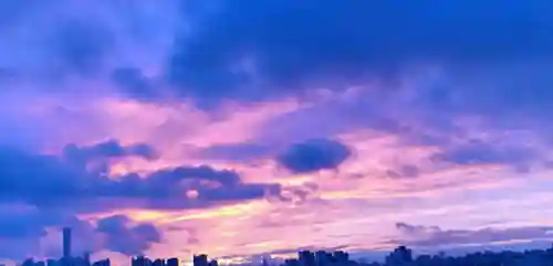 博士的家1中文版(史丹利博士的家1)