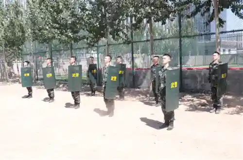 武艺夺命盾牌阵容搭配(郝昭反击盾阵容搭配推荐)插图5