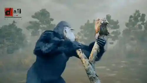 巨兽岛怎么去-(如何去巨龙群岛)