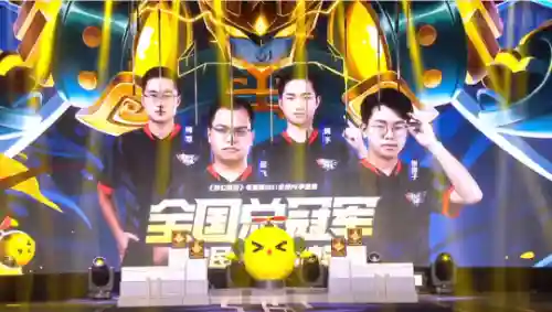 勿忘我阵容搭配(勿忘我与什么花一起搭配)插图18