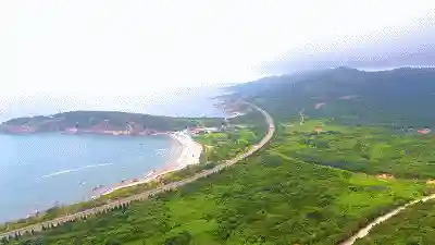 海岛25最强阵容搭配(海岛争霸什么阵容能打白胡子)插图1