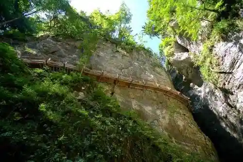 布莱德冒险阵容怎么搭配(冒险王3ol阵容搭配)插图21