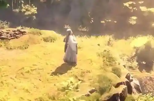 丁奉枪阵容搭配(三国志战略版丁奉最佳战法)插图2