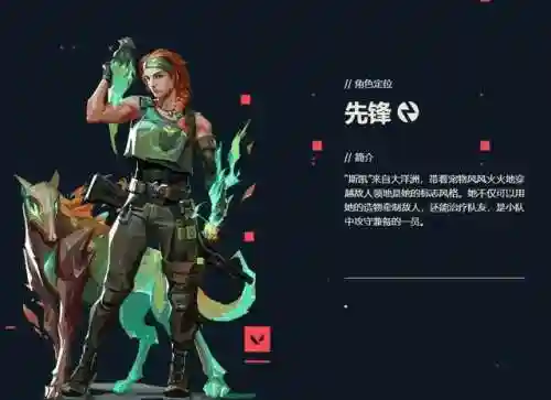 幽影支柱阵容搭配(无相之岩阵容推荐)插图13