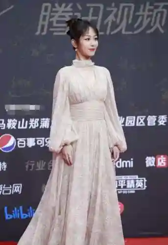 星光红毯阵容搭配图片(明星红毯造型图片)插图22