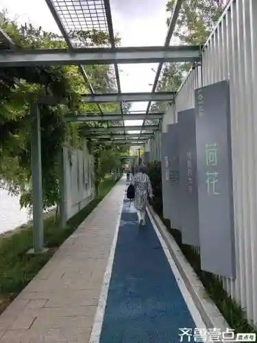 变化万千怎么搭配阵容(寻道大千最强阵容搭配)插图1