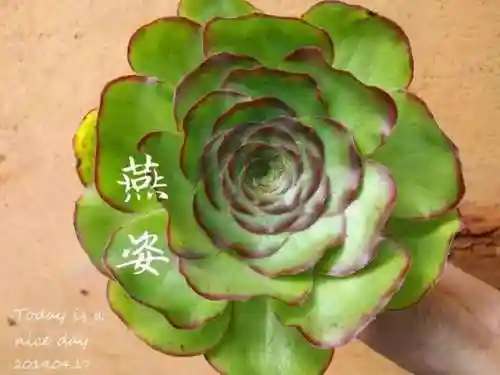 法师最牛最霸气名字(一眼就看出是玩法师的ID)插图43