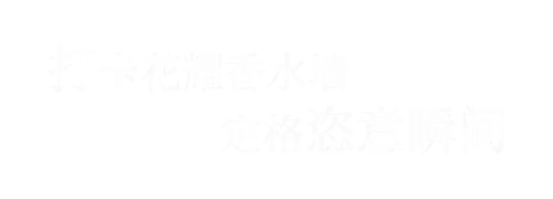 香水狂爱2(《因爱疯狂》在线观看)插图13