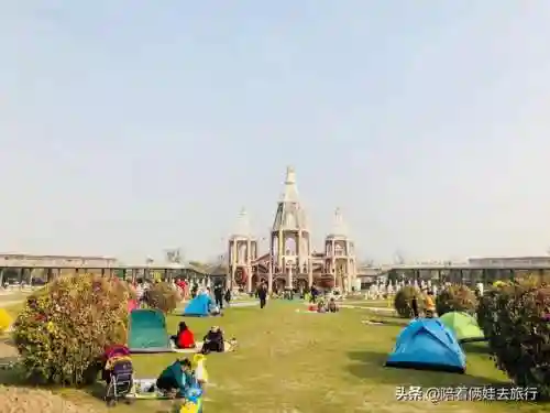 洛克王国紫藤快速获得(洛克王国紫藤150怎么弄)插图45