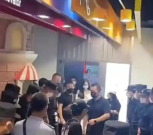 双排护卫阵容搭配(蜀盾最强阵容搭配)插图1
