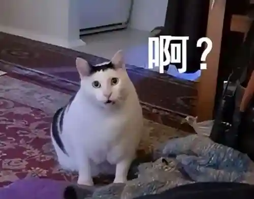 刚开服的游戏(最新开服手游时间表)插图6