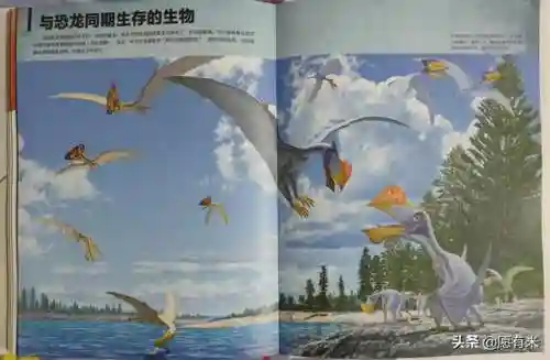 50种恐龙名称和图片(十大最著名恐龙)插图5