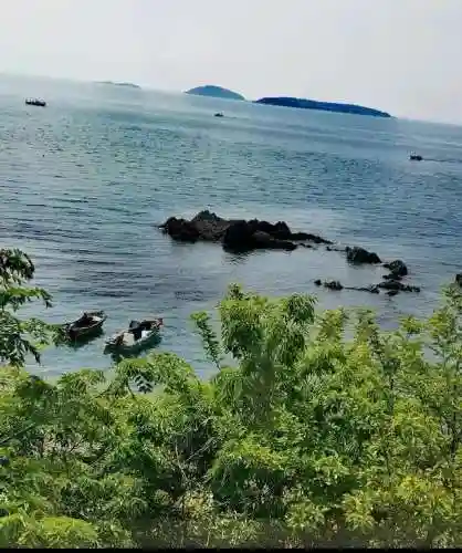 海岛25最强阵容搭配(海岛争霸什么阵容能打白胡子)插图7