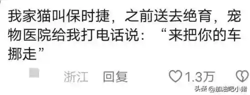 猫咪最新永久地域网名(猫咪的最新网名自动跳转)插图4 猫咪最新永久地域网名(猫咪的最新网名自动跳转)插图4