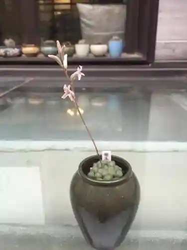 洛克王国红爪精灵技能(洛克王国金爪狂狮怎么超进化)