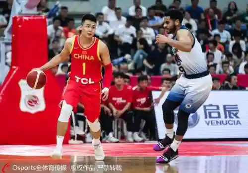 王哲林23分13篮板(王哲林篮球个人资料简介)插图3