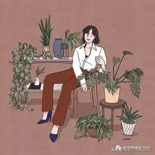 传奇红玫瑰搭配阵容图片(传奇红玫瑰花介绍)插图13