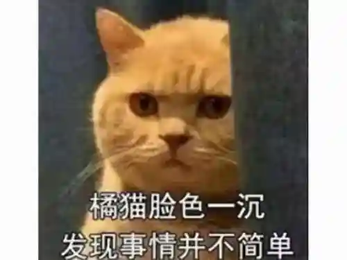 武装突袭3军用版(中国部队用的军事模拟游戏)插图2