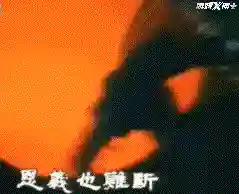 武侠网游之同步现实(以武侠世界为背景的网游小说)插图15