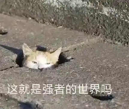 斗将变态阵容搭配(斗魂竞技场最强T0阵容)插图6
