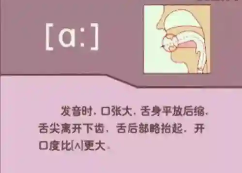 英语音标发音表(48个音标大全表图片)插图10