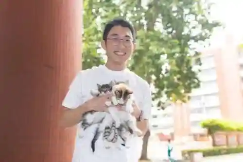 赵云关羽马超阵容搭配(马超vs赵云)插图3