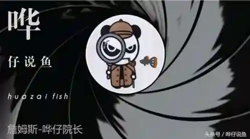 怪怪水族箱鱼类介绍(怪怪水族馆所有生物图鉴)插图11