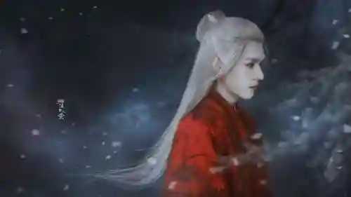 司命演员阵容搭配图表(三生三世的司命扮演者)插图7