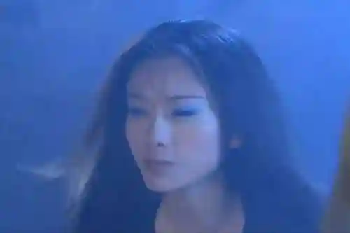 从射雕开始霸美(射雕重生之我是穆念慈)插图19