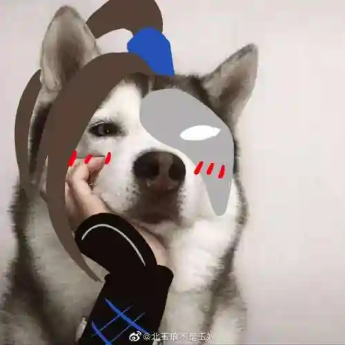 唐门机关小猪有什么用(剑三成都机关小猪)插图1