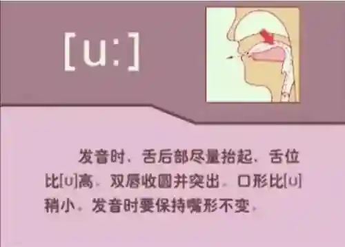 英语音标发音表(48个音标大全表图片)插图13