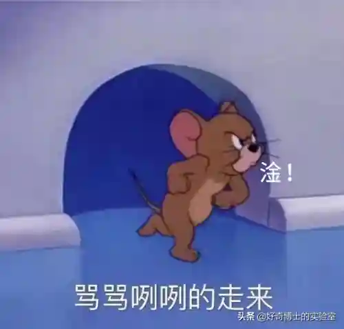淦是什么意思(淦这个梗的意思)插图15 淦是什么意思(淦这个梗的意思)插图15