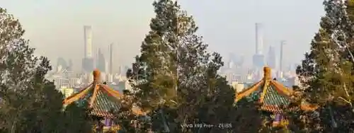 王者有阵容搭配的软件(王者荣耀阵容搭配大全)插图5 王者有阵容搭配的软件(王者荣耀阵容搭配大全)插图5