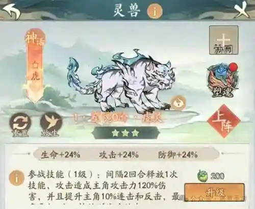 白虎新手阵容搭配推荐(斗罗大陆老虎阵容搭配)