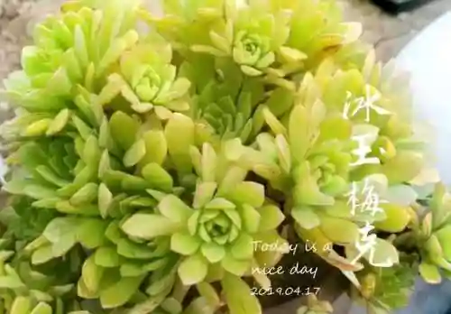 法师最牛最霸气名字(一眼就看出是玩法师的ID)插图76