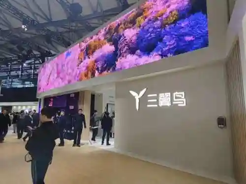 高端品牌阵容搭配推荐(高端运动装品牌)插图2