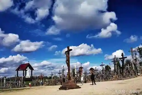 风啸天主阵容搭配(风笑天配什么阵容)插图5