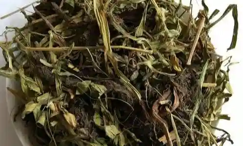 香桂饼干阵容搭配(香菱平民搭配)插图19