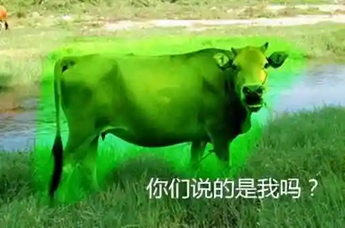 老鹰眼搭配什么阵容(老鹰队阵容)插图6