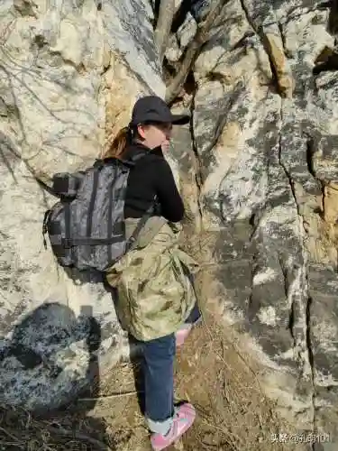 仙境游记推荐阵容搭配(歧路旅人2阵容搭配)插图3